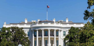 White House with trees and fountain