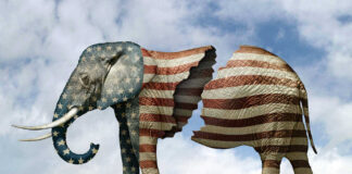Elephant with American flag pattern split into two halves.