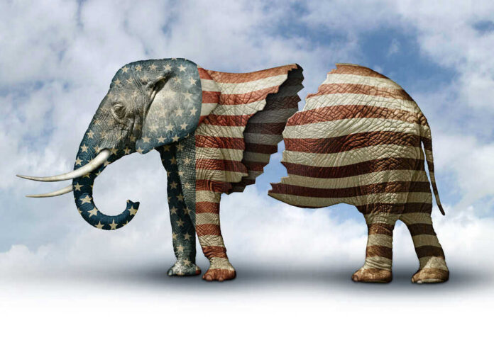 Elephant with American flag pattern split into two halves.