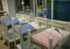 Five sleeping newborns in hospital bassinets.