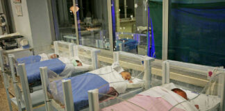 Five sleeping newborns in hospital bassinets.