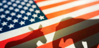 Donkey and elephant shadows on American flag background.