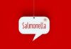 A speech bubble with the word 'Salmonella' on a red background