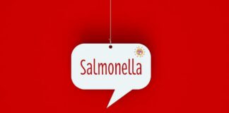 A speech bubble with the word 'Salmonella' on a red background