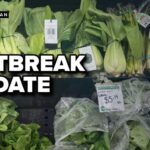 Mystery Greens Fuel Record Illness Cyclosporiasis cases surge in Michigan, with adults 30-49 being the largest group