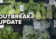 Mystery Greens Fuel Record Illness Cyclosporiasis cases surge in Michigan, with adults 30-49 being the largest group