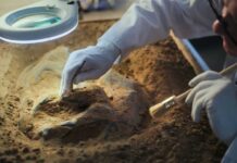 Ancient Bling Upends Faith Origin Story