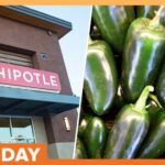 Chipotle Outbreak Panic: Peppers Yanked Officials Probe Salmonella Outbreak Tied to Jalapeños at Chipotle