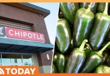 Officials Probe Salmonella Outbreak Tied to Jalapeños at Chipotle