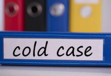 COLD CASE: Child Killing Horror Blue binder labeled 'cold case' with other colored binders in the background