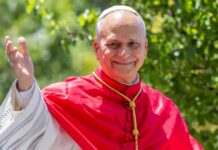 Catholic cardinal smiling and waving outdoors